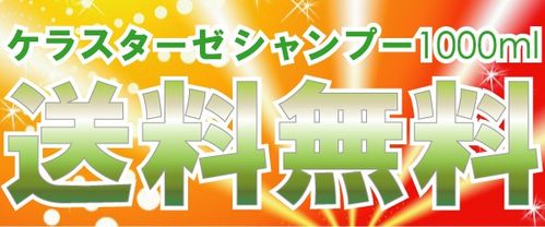 関連会社株式定義